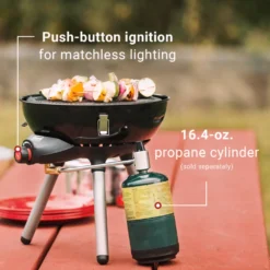 Coleman 4-in-1 Portable Propane Gas Cooking System -Cozy Camp Time Shop 2000035015 Abu ATF 6 1